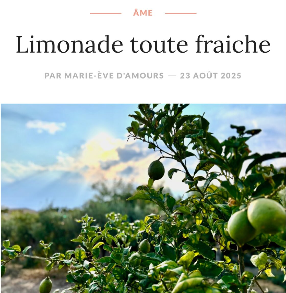 • MoiME.ca

« …Parlant bâtons « Là maman, enlève le bâton que tu as dans tes 2 petites fesses et va de l’avant. T’es capable! » sortant spontanément de la bouche de ma fille d’amour quand je commence à douter.  Retour du balancier qui dise, je suis rendue que je me fais brasser!  Ça promet pour son entrée au secondaire dans quelques jours. Dans l’fond, mon p’tit bout de bonne femme a raison... »

#lifestyle 
#blog