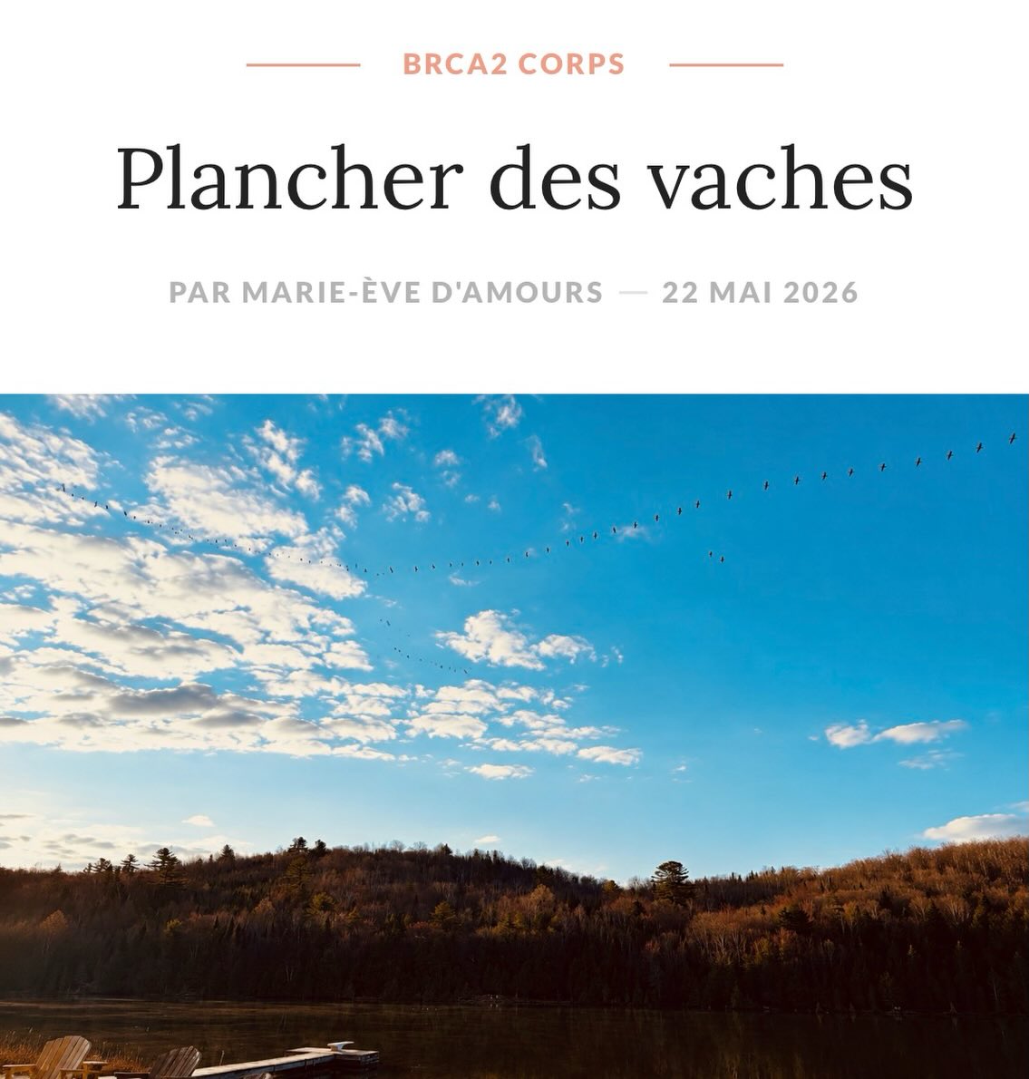 • MoiME.ca

« ...Quand tu fais l’Amour et que c’est la dernière fois que tu ressens une sensation aux seins … il y a quelque chose de sincèrement touchant.
Le stress bien ancré en moi, j’ai parlé à mon petit corps sans cesse en ajoutant un dessert de méditation quotidienne pour mon mindset. Quand je dis à mon chum « Demain, j’entre à l’hôpital pour mon opération » et lui de me répondre « après-demain, tu sortiras du CHUM et ce sera chose du passé. » Ouin, vu de même, j’ai moins la face collée dedans... »
#bloglife 
#brca2