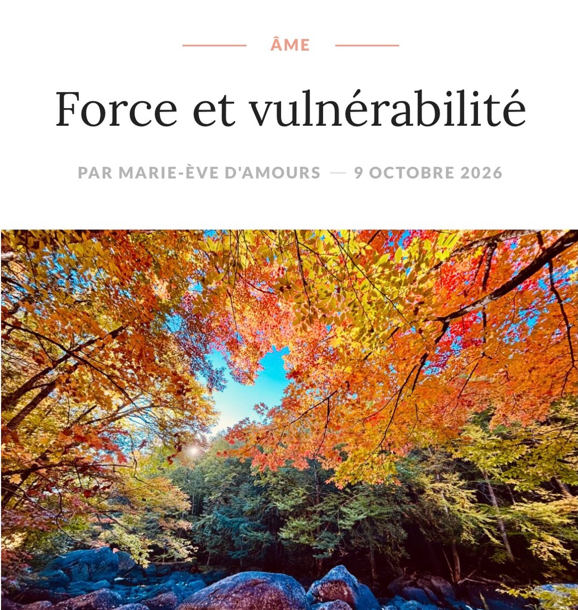 •MoiME.ca 

« Ces jours-ci, je suis tannée des nons, des déclinaisons, que je « qu’on » reçoit à profusion. Combien de « non » mis sur la table avant d’obtenir un « oui »? Je les compte tout simplement plus. 😮‍💨 Ça serait vous mentir de vous dire que je reste téflon et que ça ne vient pas me chercher. Surtout quand je réalise à quel point on travaille fort… »

#blog 
#lifestyle