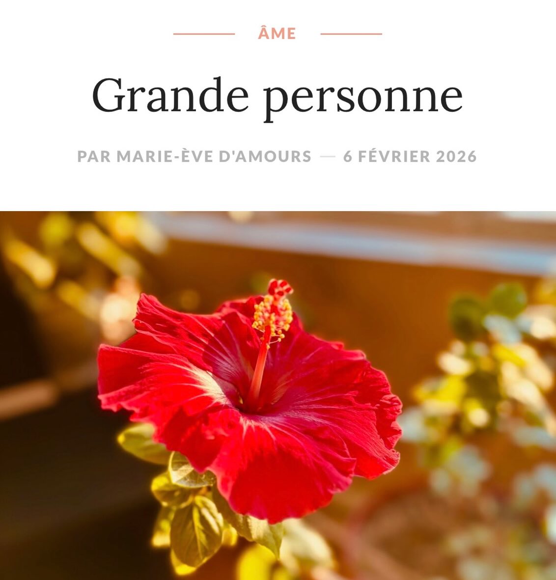 • MoiME.ca 

« Je ne suis pas de celle qui jappe fort, en paroles mâles « qui pisse + loin », qui pour une « shot » d’estime, cherche le contrôle. Dominer un pouvoir emprunté. Je suis + une être humaine d’harmonie, d’amour avec même la tendance à se mettre un genou à terre et me taire. Mais, à travers ma boule de verre, je vois clair. Je vois loin. »

#blog
#lifestyle